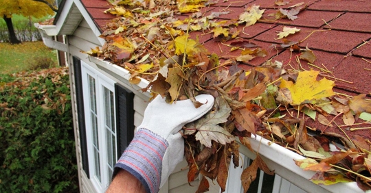 cleaning gutters